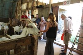 Cheese and wine tour in the nothern part of cote du rhone