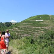 © Cheese and wine tour in the nothern part of cote du rhone - <em>DR Rhône trip</em>