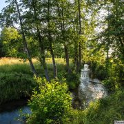 © Flood meadow - <em>Bertrand Bodin/Département de l'Isère</em>