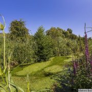 © Flood meadow - <em>Bertrand Bodin/Département de l'Isère</em>