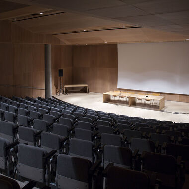 Auditorium of the museum and Gallo-Roman sites of Saint-Romain-en-Gal