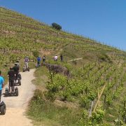 © Condrieu Segway Tour - <em>Intuitive Trace</em>