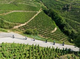 Condrieu Segway Tour