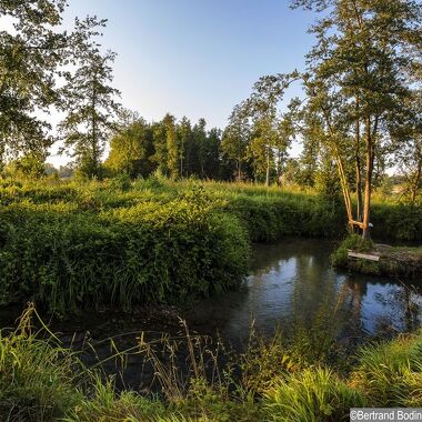 © Flood meadow - <em>Bertrand Bodin - Département de l'Isère</em>